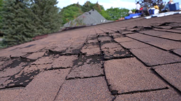 Best Gutter Installation and Repair  in Hamilton City, CA