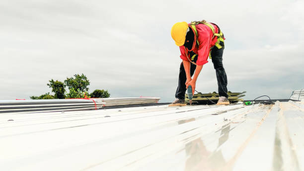 Best Rubber Roofing (EPDM, TPO)  in Hamilton City, CA