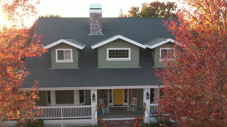 Best Sheet Metal Roofing  in Hamilton City, CA