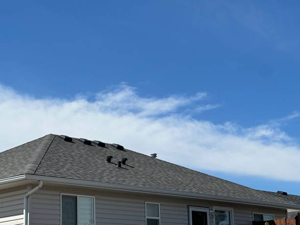 Best Asphalt Shingles Roofing  in Hamilton City, CA